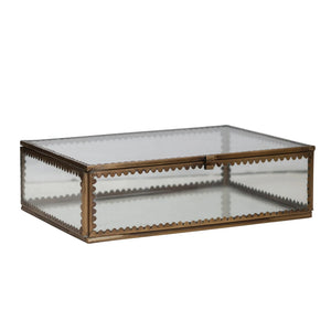 Glass shadow box with brass metal scalloped edge frame on a white background. 