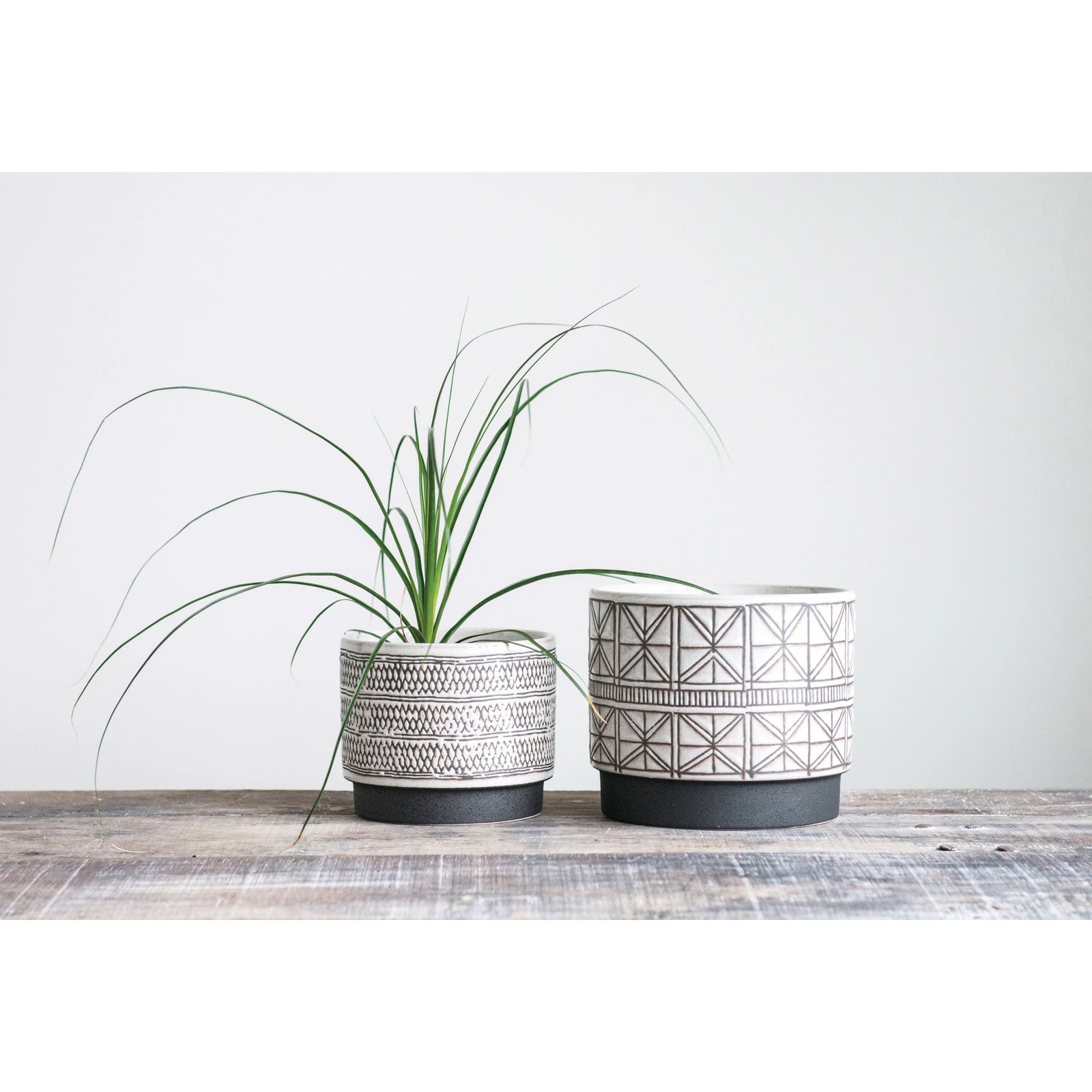 Coordinating set of neutral colored embossed stoneware planters with plant displayed inside. 