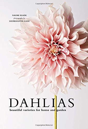 Dahlias Books