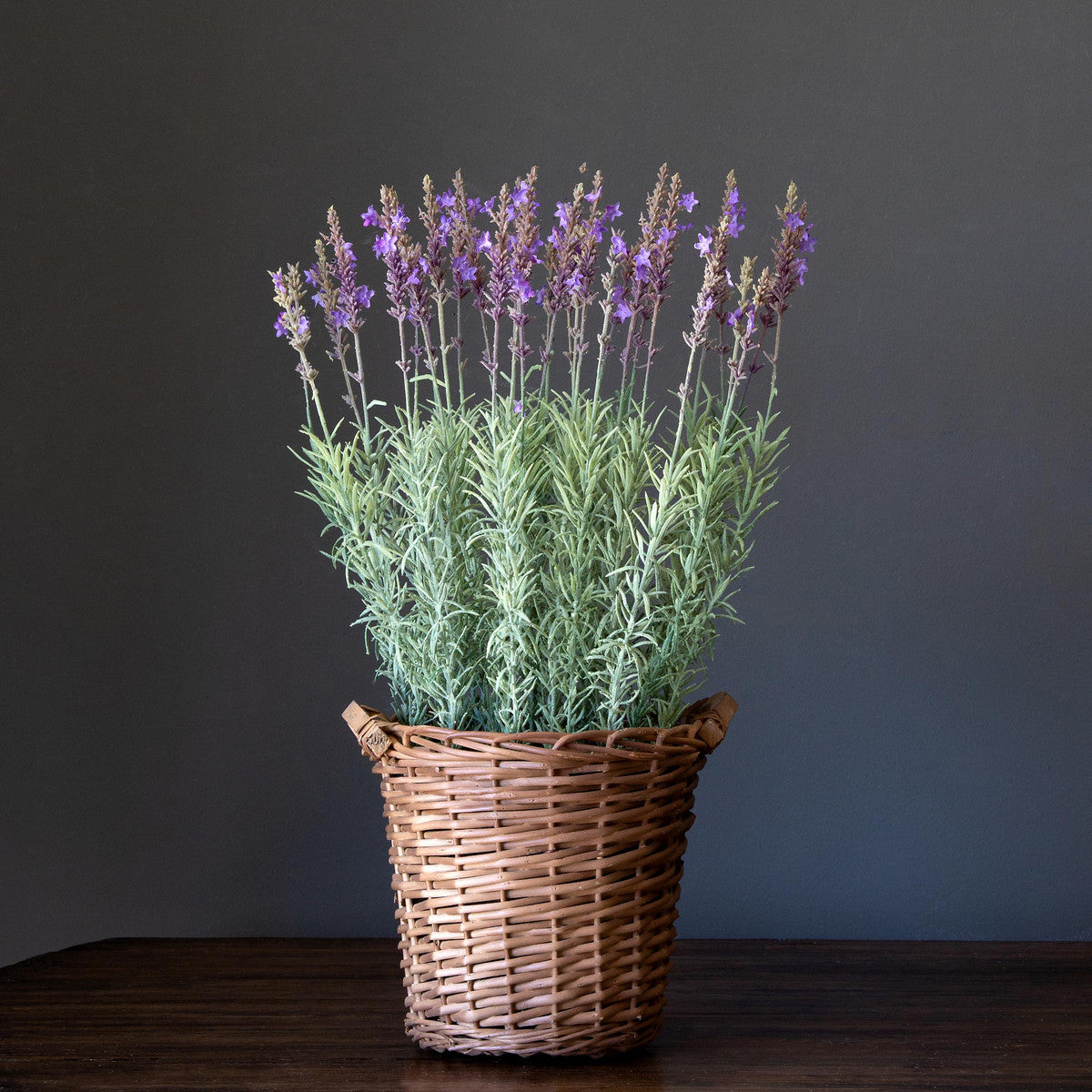 Potted Lavender Basket