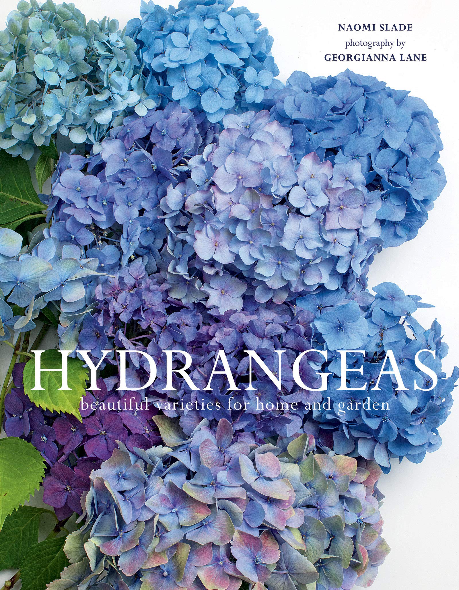 Naomi Slade "Hydrangeas" book front cover. 