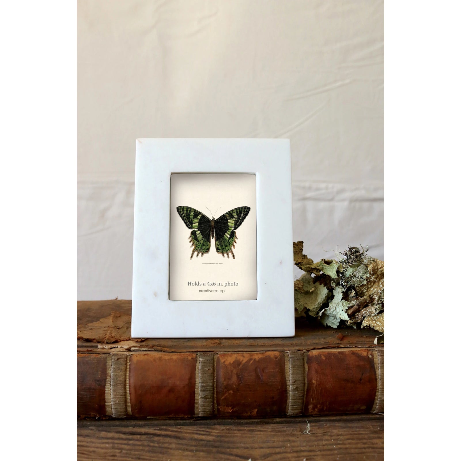 Marble white frame